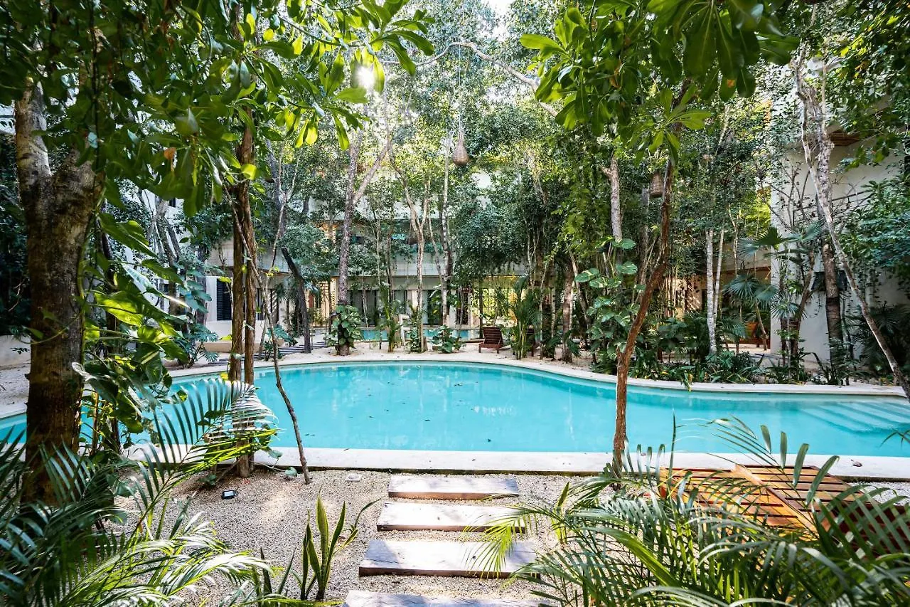 Casai - Kil Spacious Retreat In La Veleta, Tulum - Private Plunge Pool, Gym Apartment