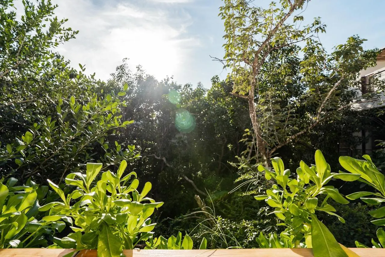 Casai - Kil Spacious Retreat In La Veleta, Tulum - Private Plunge Pool, Gym Apartment