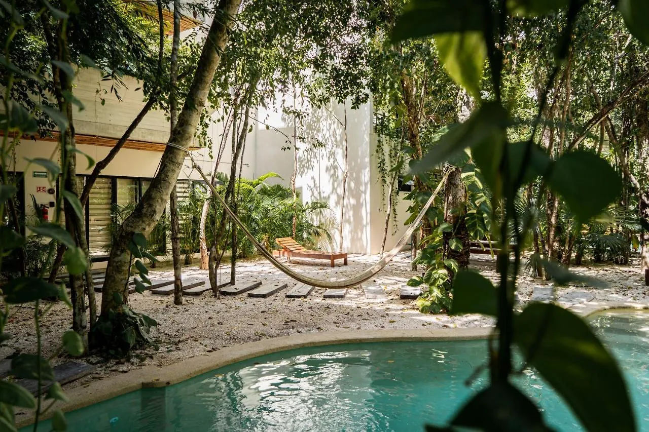 Casai - Kil Spacious Retreat In La Veleta, Tulum - Private Plunge Pool, Gym דירה