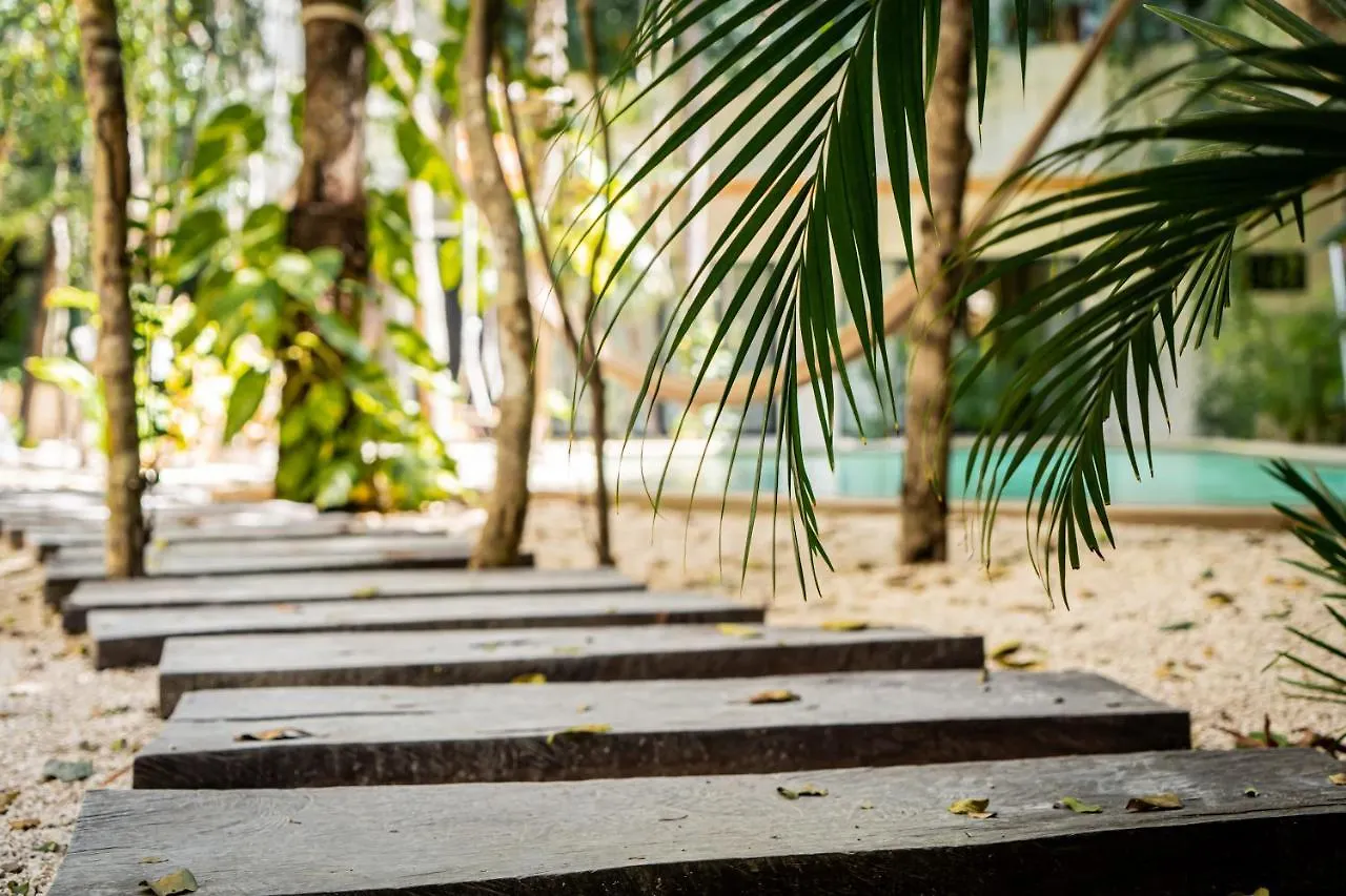 Casai - Kil Spacious Retreat In La Veleta, Tulum - Private Plunge Pool, Gym מקסיקו