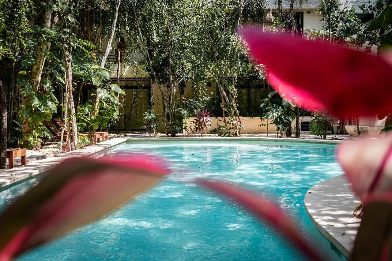 Casai - Kil Spacious Retreat In La Veleta, Tulum - Private Plunge Pool, Gym 0*,  מקסיקו