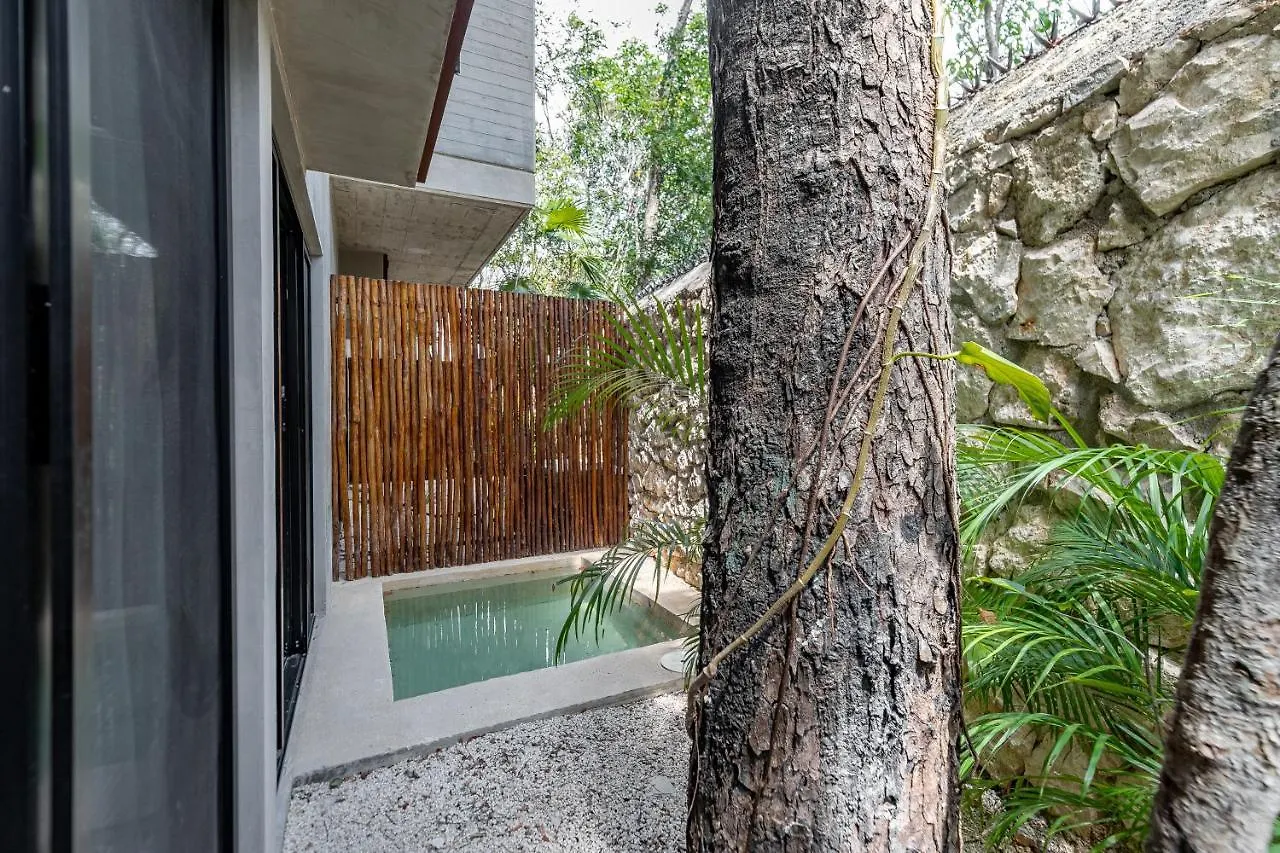 Casai - Kil Spacious Retreat In La Veleta, Tulum - Private Plunge Pool, Gym דירה