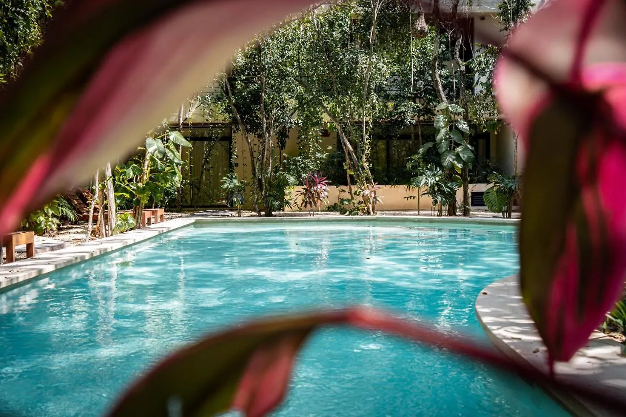 דירה Casai - Kil Spacious Retreat In La Veleta, Tulum - Private Plunge Pool, Gym