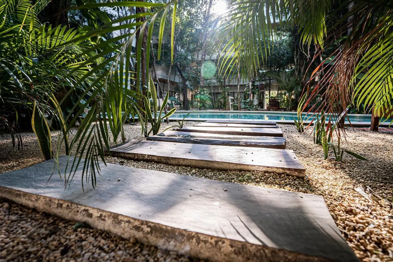 Casai - Kil Spacious Retreat In La Veleta, Tulum - Private Plunge Pool, Gym מקסיקו