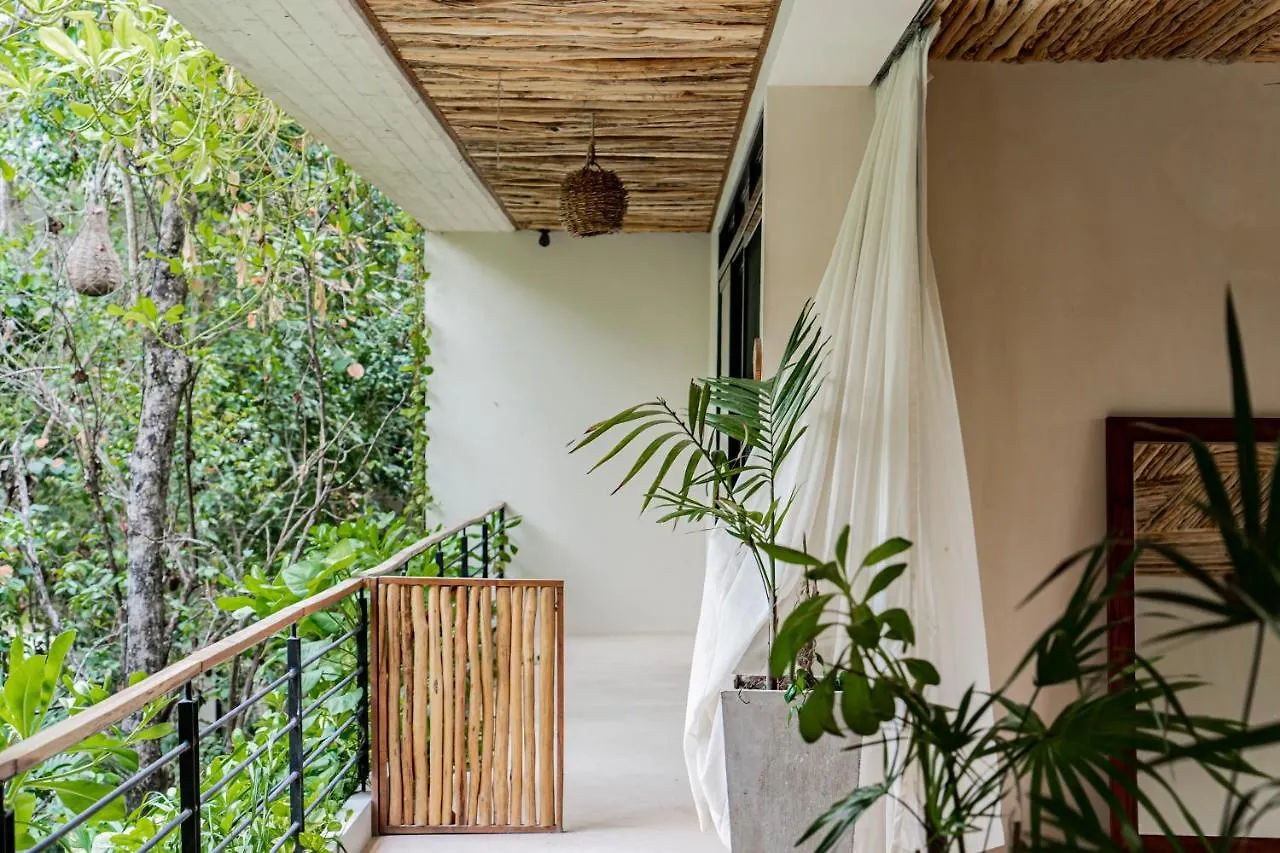 Casai - Kil Spacious Retreat In La Veleta, Tulum - Private Plunge Pool, Gym