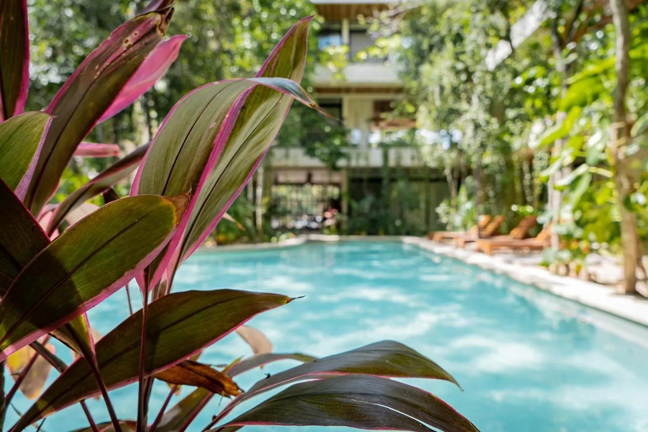 דירה Casai - Kil Spacious Retreat In La Veleta, Tulum - Private Plunge Pool, Gym