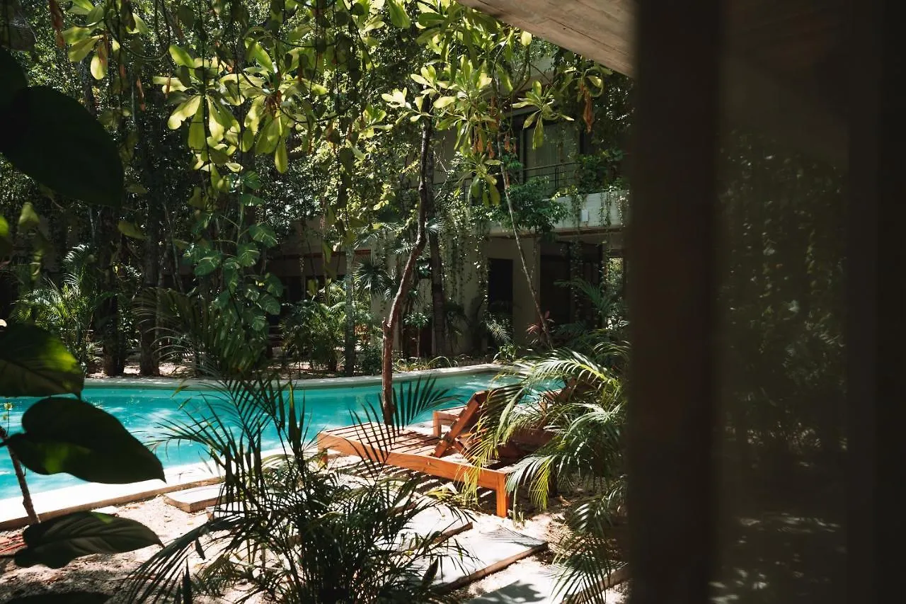 Casai - Kil Spacious Retreat In La Veleta, Tulum - Private Plunge Pool, Gym מקסיקו