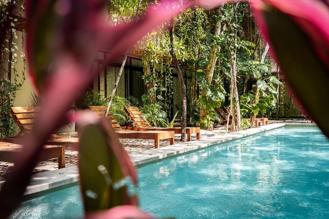 Casai - Kil Spacious Retreat In La Veleta, Tulum - Private Plunge Pool, Gym